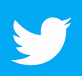 Twitter Icon - Bird